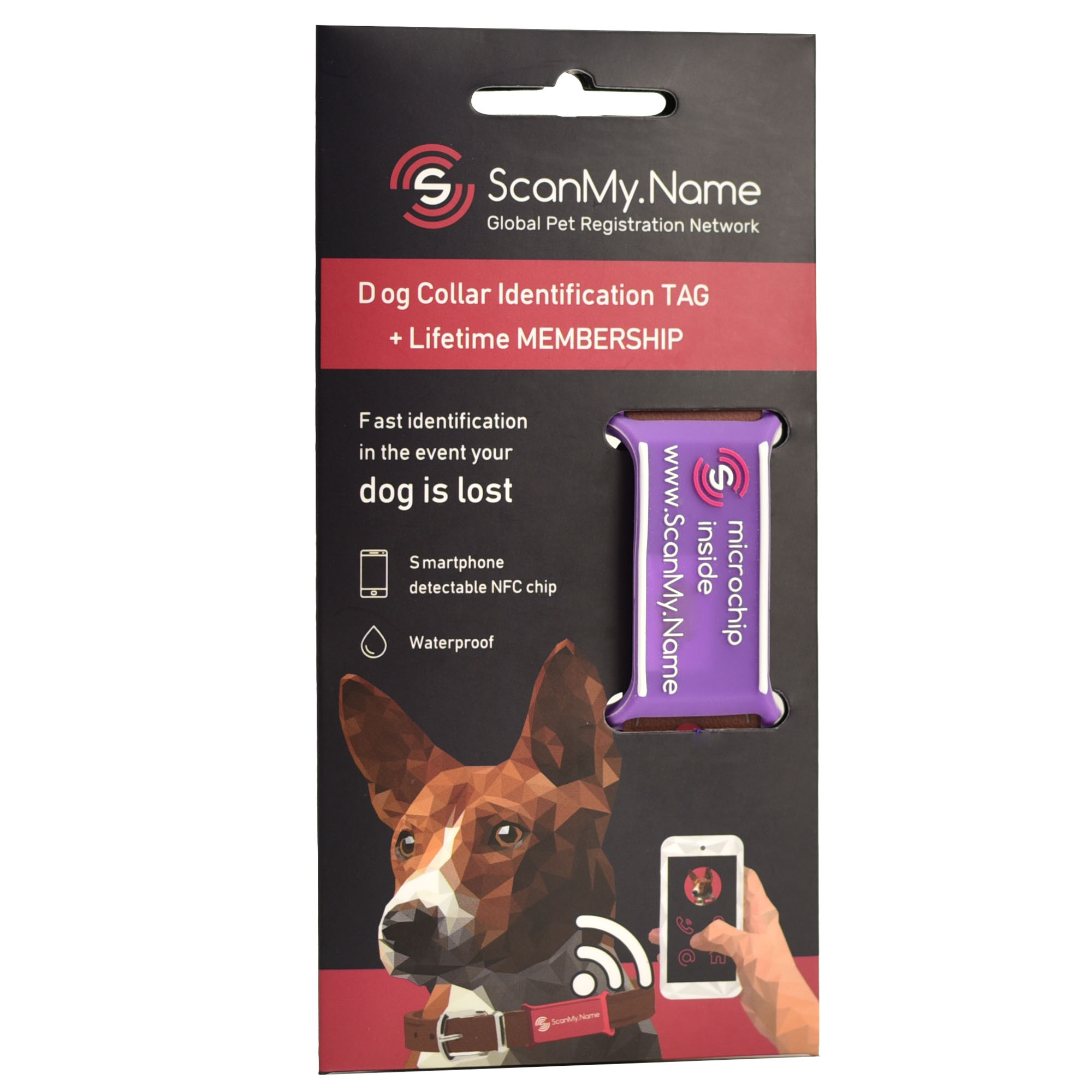 ScanMyName dog tag purple 1